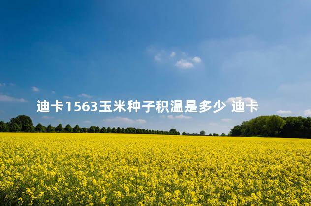 迪卡1563玉米种子积温是多少 迪卡1563审定公告